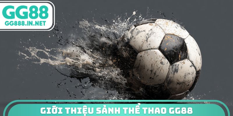 Giới thiệu sảnh thể thao gg88