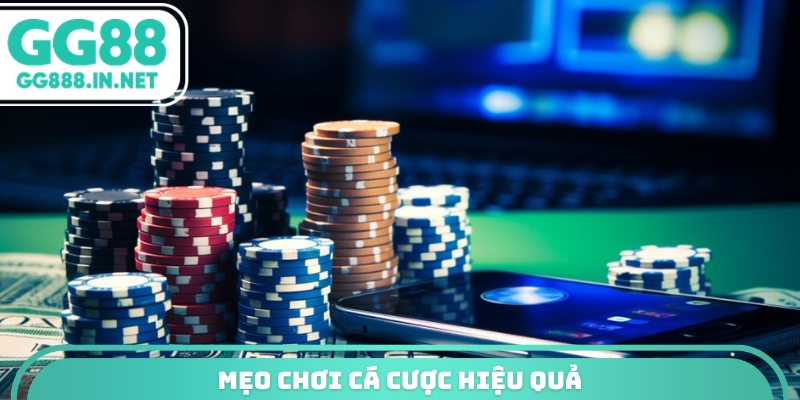 Mẹo chơi cá cược hiệu quả