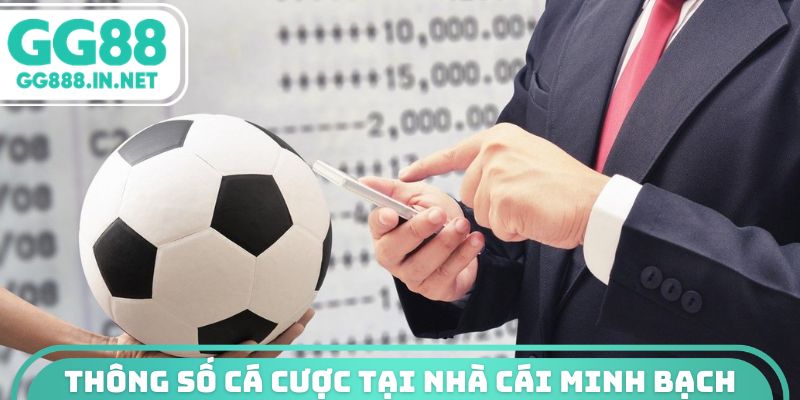 Thông số cá cược tại nhà cái minh bạch