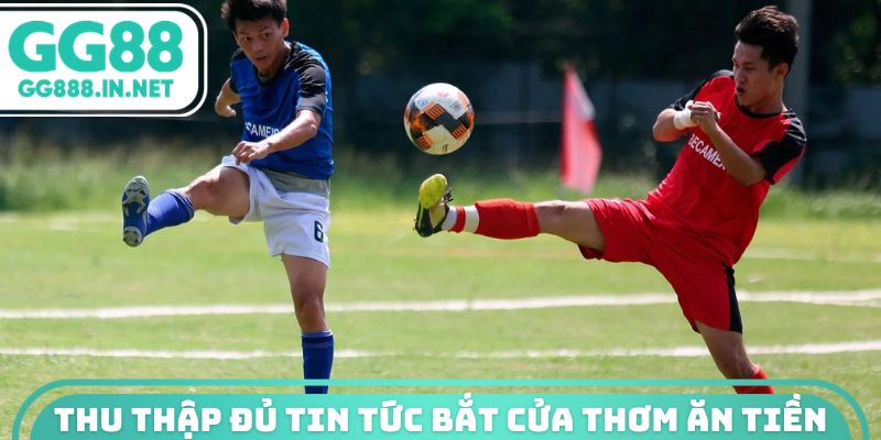 Thu thập đủ tin tức bắt cửa thơm ăn tiền